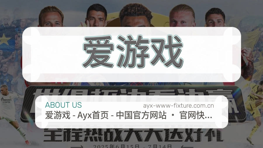 爱游戏服务说明